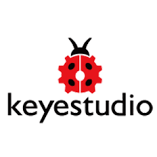 Keyestudio